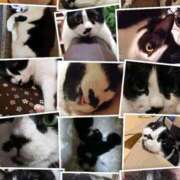 ヒメ日記 2025/12/28 19:33 投稿 田中久美 五十路マダム 博多店