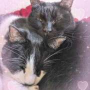 ヒメ日記 2026/01/05 09:57 投稿 田中久美 五十路マダム 博多店