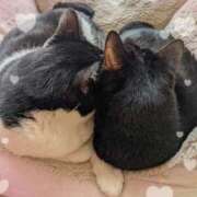 ヒメ日記 2026/04/03 00:07 投稿 田中久美 五十路マダム 博多店