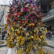 ヒメ日記 2026/04/04 12:53 投稿 田中久美 五十路マダム 博多店