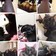 ヒメ日記 2026/04/07 14:47 投稿 田中久美 五十路マダム 博多店