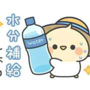 ヒメ日記 2026/08/04 08:27 投稿 田中久美 五十路マダム 博多店