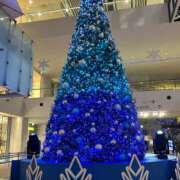 ヒメ日記 2024/12/15 07:45 投稿 じゅん セクシーキャット 小田原店