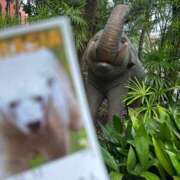 ヒメ日記 2025/01/14 08:15 投稿 じゅん セクシーキャット 小田原店