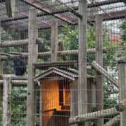 ヒメ日記 2025/01/23 12:57 投稿 じゅん セクシーキャット 小田原店