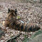 ヒメ日記 2025/01/25 07:45 投稿 じゅん セクシーキャット 小田原店