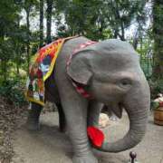 ヒメ日記 2025/01/26 08:15 投稿 じゅん セクシーキャット 小田原店