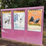 ヒメ日記 2025/02/01 09:31 投稿 じゅん セクシーキャット 小田原店