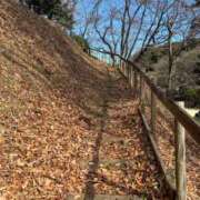 ヒメ日記 2025/02/05 08:15 投稿 じゅん セクシーキャット 小田原店