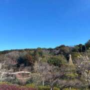 ヒメ日記 2025/02/06 08:15 投稿 じゅん セクシーキャット 小田原店