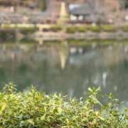 ヒメ日記 2025/02/08 06:45 投稿 じゅん セクシーキャット 小田原店