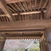 ヒメ日記 2025/02/12 13:45 投稿 じゅん セクシーキャット 小田原店