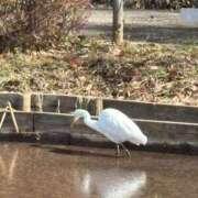 ヒメ日記 2025/02/23 09:30 投稿 じゅん セクシーキャット 小田原店