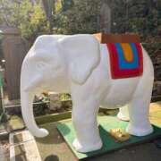 ヒメ日記 2025/02/25 08:15 投稿 じゅん セクシーキャット 小田原店