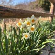 ヒメ日記 2025/03/08 08:45 投稿 じゅん セクシーキャット 小田原店