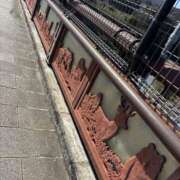 ヒメ日記 2025/03/15 07:00 投稿 じゅん セクシーキャット 小田原店