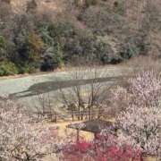 ヒメ日記 2025/03/26 07:45 投稿 じゅん セクシーキャット 小田原店