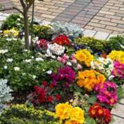 ヒメ日記 2025/03/28 07:15 投稿 じゅん セクシーキャット 小田原店