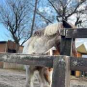 ヒメ日記 2025/04/25 09:45 投稿 じゅん セクシーキャット 小田原店