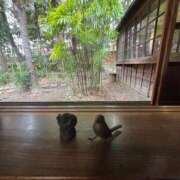 ヒメ日記 2025/04/28 22:10 投稿 じゅん セクシーキャット 小田原店