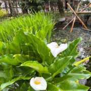 ヒメ日記 2025/04/29 07:45 投稿 じゅん セクシーキャット 小田原店