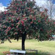 ヒメ日記 2025/05/11 07:42 投稿 じゅん セクシーキャット 小田原店