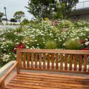 ヒメ日記 2025/05/21 08:00 投稿 じゅん セクシーキャット 小田原店