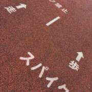 ヒメ日記 2025/06/14 08:21 投稿 じゅん セクシーキャット 小田原店