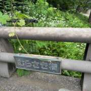 ヒメ日記 2025/06/15 08:57 投稿 じゅん セクシーキャット 小田原店