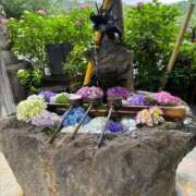 ヒメ日記 2025/06/17 08:00 投稿 じゅん セクシーキャット 小田原店