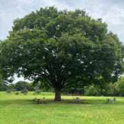 ヒメ日記 2025/06/21 07:43 投稿 じゅん セクシーキャット 小田原店