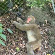 ヒメ日記 2025/07/17 09:47 投稿 じゅん セクシーキャット 小田原店