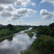 ヒメ日記 2025/07/29 23:24 投稿 じゅん セクシーキャット 小田原店