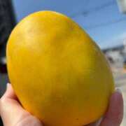 ヒメ日記 2025/08/27 11:51 投稿 じゅん セクシーキャット 小田原店