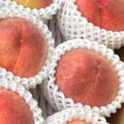 ヒメ日記 2025/09/01 09:46 投稿 じゅん セクシーキャット 小田原店