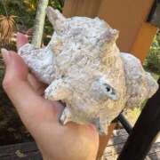 ヒメ日記 2025/09/09 07:30 投稿 じゅん セクシーキャット 小田原店