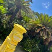 ヒメ日記 2025/09/15 08:01 投稿 じゅん セクシーキャット 小田原店