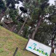 ヒメ日記 2025/09/24 08:01 投稿 じゅん セクシーキャット 小田原店