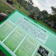 ヒメ日記 2025/09/26 07:45 投稿 じゅん セクシーキャット 小田原店