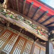 ヒメ日記 2025/09/29 07:00 投稿 じゅん セクシーキャット 小田原店