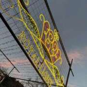 ヒメ日記 2025/11/26 11:11 投稿 じゅん セクシーキャット 小田原店