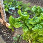 ヒメ日記 2025/12/10 07:45 投稿 じゅん セクシーキャット 小田原店