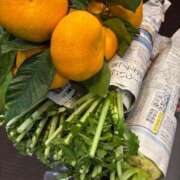 じゅん すんごくうれしい旬のもの セクシーキャット 小田原店