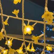 じゅん ２０日（土）〜２９日（月）ご予約状況 セクシーキャット 小田原店