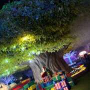 じゅん あたまの鐘がなったのさ セクシーキャット 小田原店