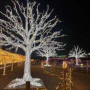 ヒメ日記 2025/12/28 10:15 投稿 じゅん セクシーキャット 小田原店