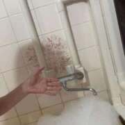 ヒメ日記 2025/12/29 08:45 投稿 じゅん セクシーキャット 小田原店