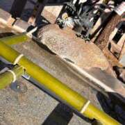 ヒメ日記 2026/01/04 10:53 投稿 じゅん セクシーキャット 小田原店