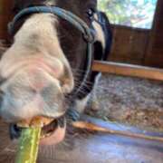 ヒメ日記 2026/01/15 07:15 投稿 じゅん セクシーキャット 小田原店