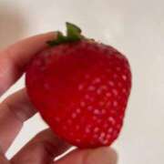 ヒメ日記 2026/02/28 11:24 投稿 じゅん セクシーキャット 小田原店